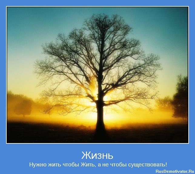 фотомотиватори