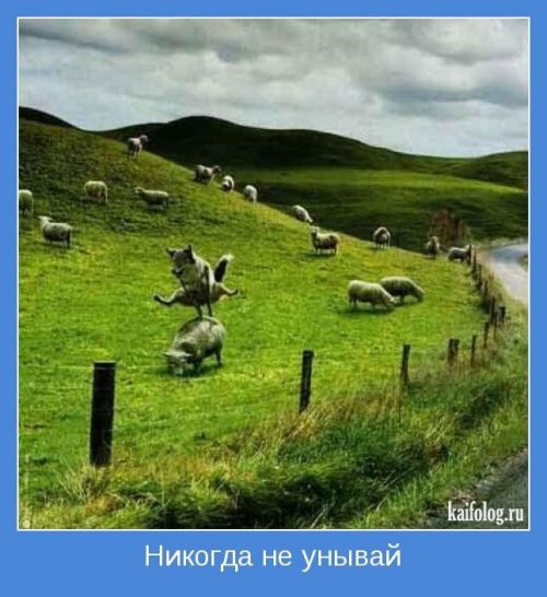 фотомотиватори