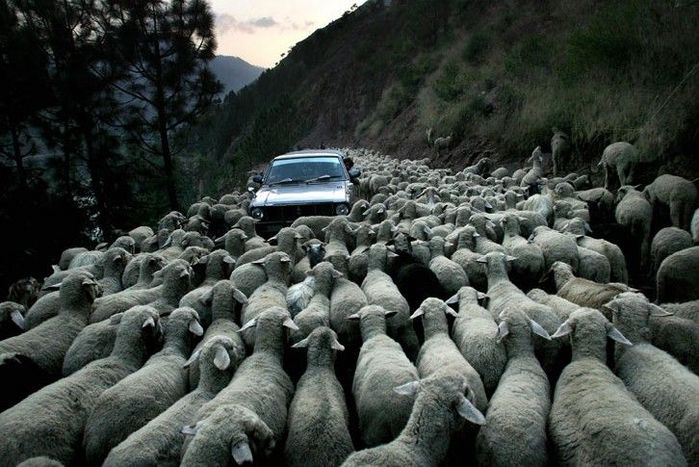 управління гнівом