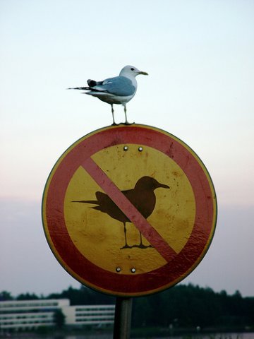 фотомотиватори