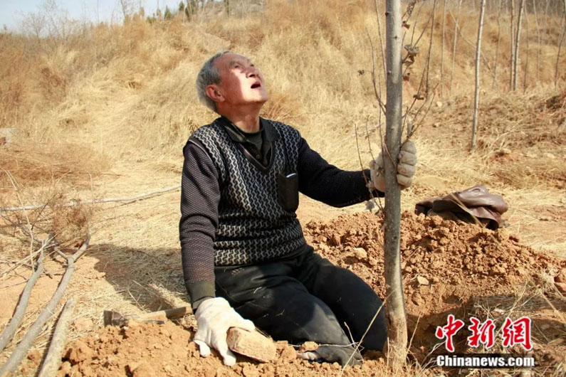 Безногий 70-річний ветеран зміг посадити 17 тисяч дерев за 19 років