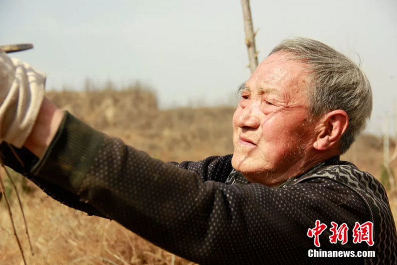 Безногий 70-річний ветеран зміг посадити 17 тисяч дерев за 19 років