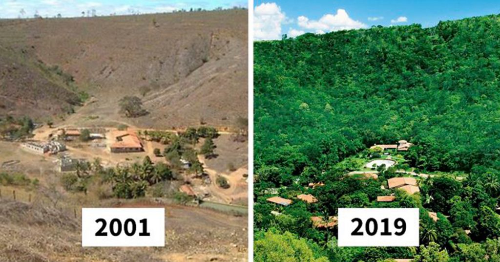 Фотограф з дружиною за 20 років посадили 2 мільйони дерев і відновити знищений ліс