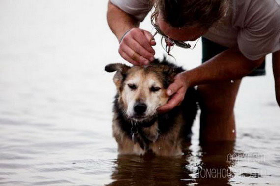 Заради вірного друга