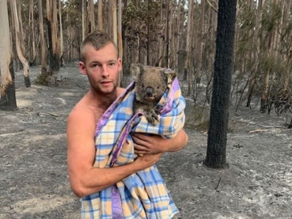 Молодий автралієць рятує коал